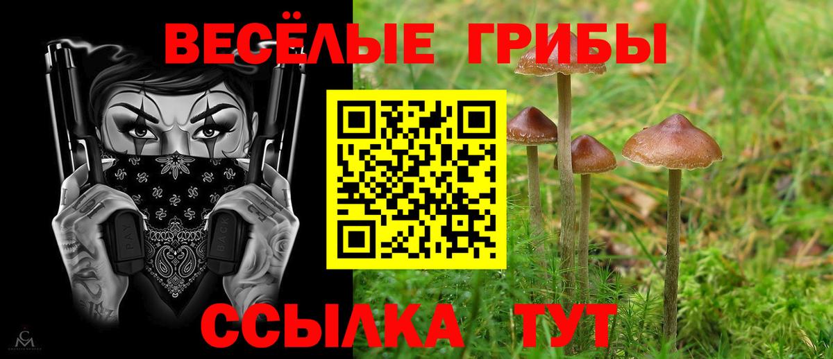 Орёл  Галлюциногенные грибы GOLDEN TEACHER  Вход с VPN 
